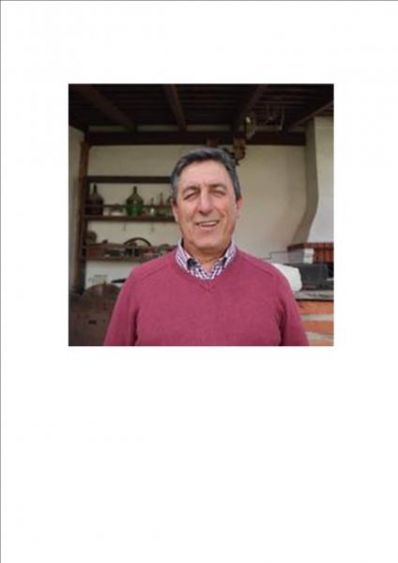 &Aacute;lvaro Manuel Morais Alves