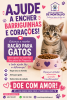 Campanha de recolha de alimentos - Gatos