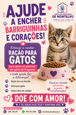 Campanha de recolha de alimentos - Gatos