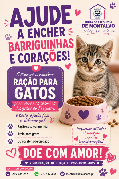 Campanha de recolha de alimentos - Gatos
